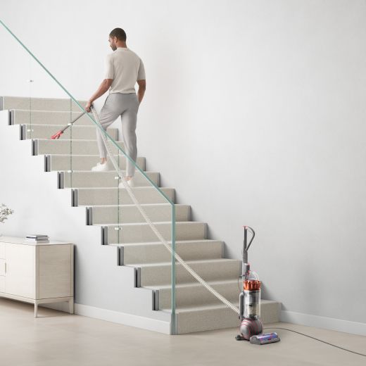 Dyson Ball Animal 3 Complete Gold Upright Vacuum with Powerful De-tangling Technology