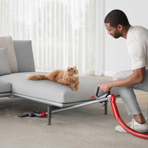 Dyson Ball Animal 3 Complete Gold Upright Vacuum with Powerful De-tangling Technology