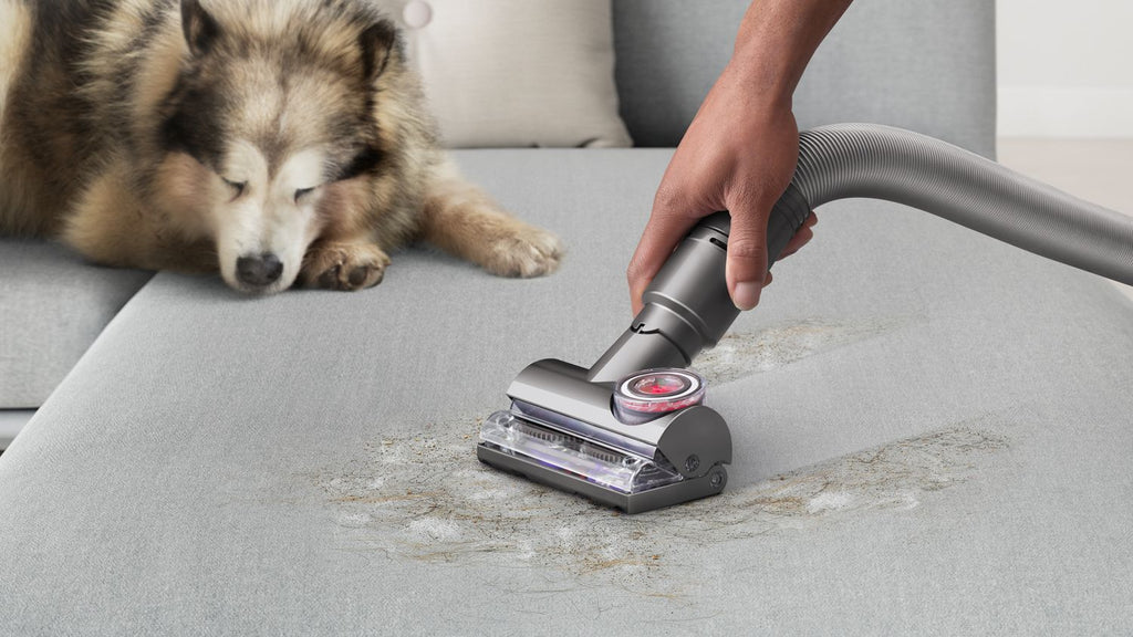 Dyson Ball Animal 3 Complete Gold Upright Vacuum with Powerful De-tangling Technology